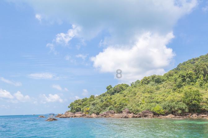 不吃饭，只吃水果能减肥吗